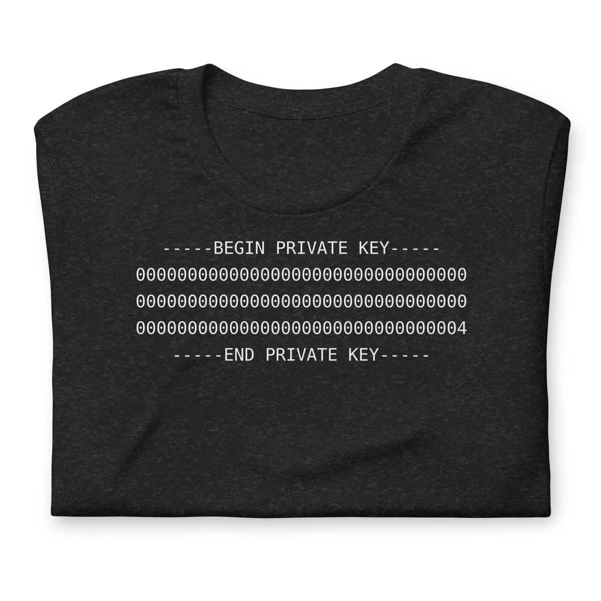 Black heather PKEY 04 funny cybersecurity t-shirt, front