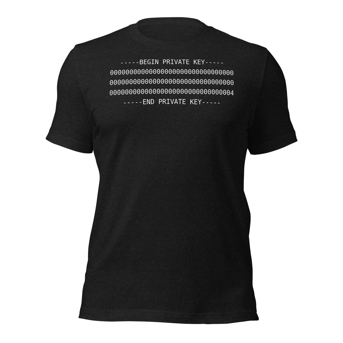 Black heather PKEY 04 funny cybersecurity t-shirt, view 3