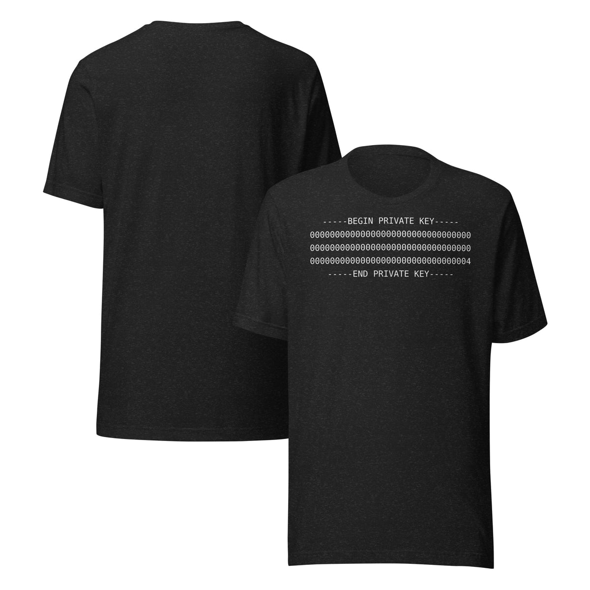 Black heather PKEY 04 funny cybersecurity t-shirt, view 2
