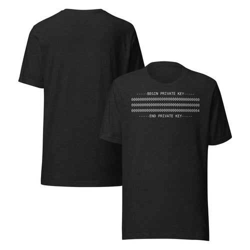 Black heather PKEY 04 funny cybersecurity t-shirt, view 2