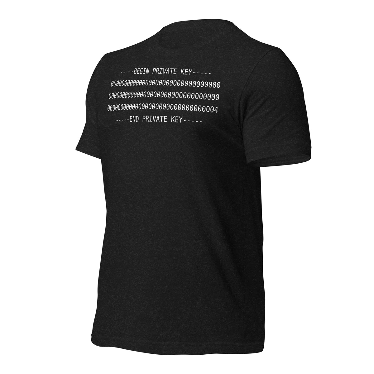 Black heather PKEY 04 funny cybersecurity t-shirt, view 5